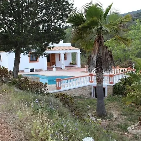 Great Paradise San José